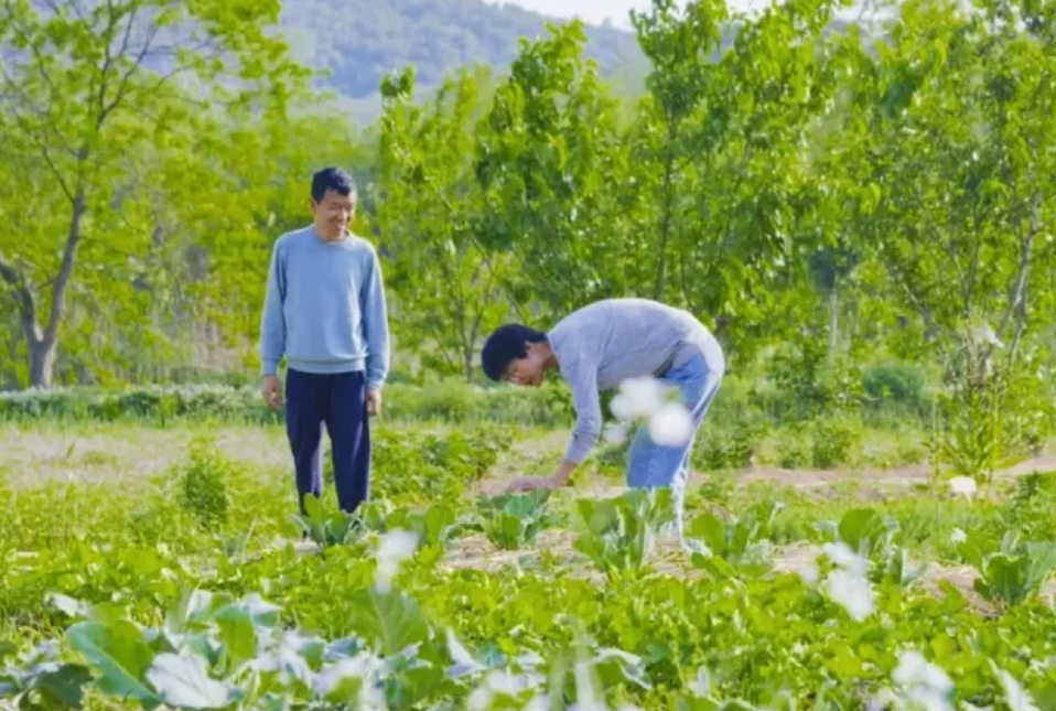 腾讯元老魏震 赚够钱后果断辞职，携妻儿退隐山林，每天种地喝茶  第4张