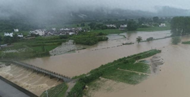 三峡水库已关闭近20年，被称为鱼类天堂，鱼缸里的鱼能长到多大？  第9张